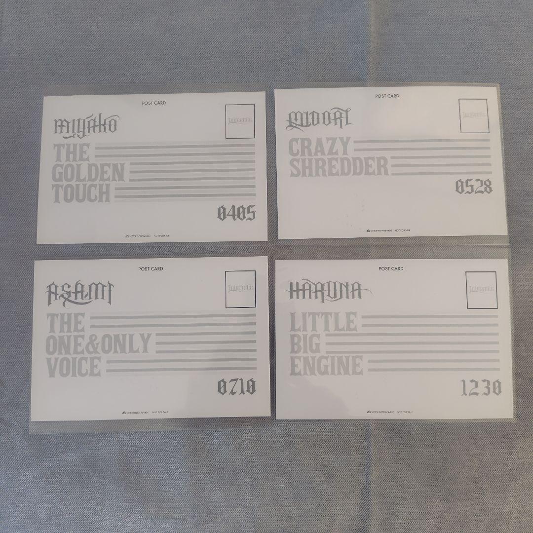 LOVEBITESバースデイTシャツ 3枚セット【XL】