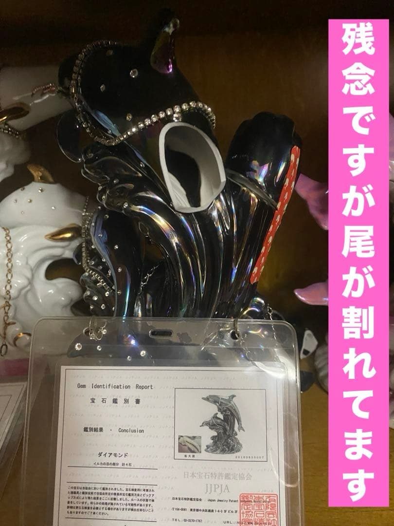 ドルフィン ブランデー♦️希少 バースセレクション♦️人気のピンク