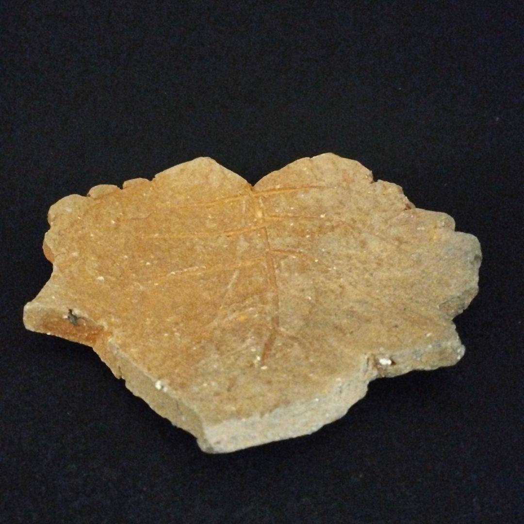 辻清明 信楽 木の葉皿