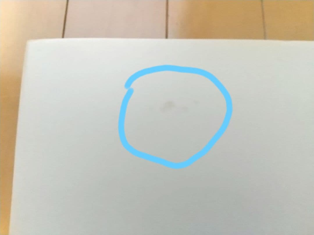 【美品・希少】エゴン・シーレ1890-1918 画集　エルヴィン・ミッチ著　箱付