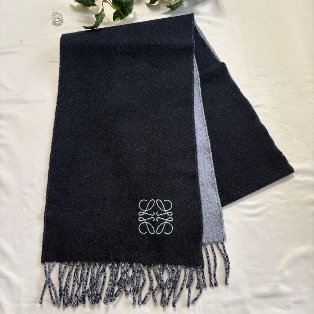 野外 D.hヘラクレス 大型 標本 D.hヘラクレス 大型 野外標本