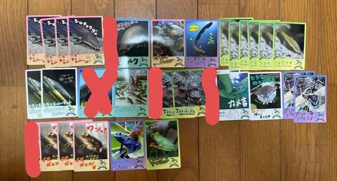 TOBA AQUARIUMコレクションカード 鳥羽水族館　コレバラ売り