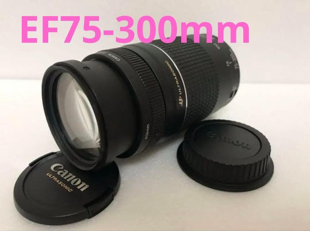 フード付き！超望遠レンズ☆オススメ キャノン Canon EF75-300