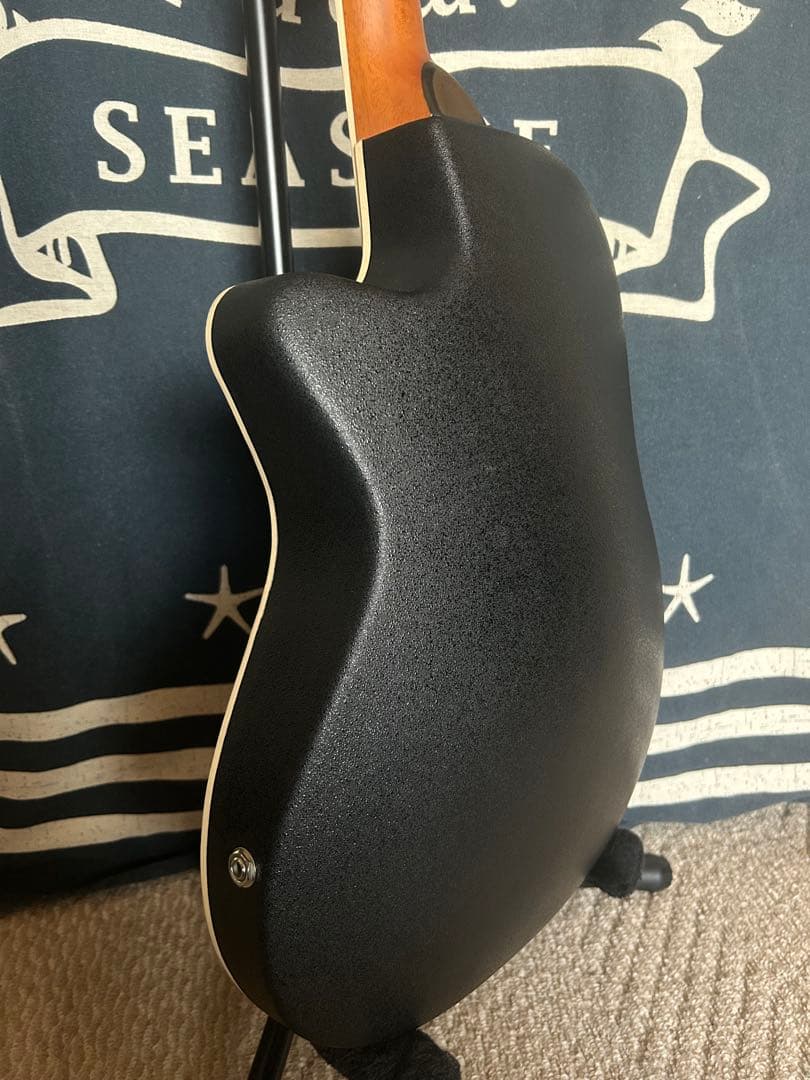 新春特価‼️90年代❣️ProMartinトラベルsizeエレアコ　SEA350RS