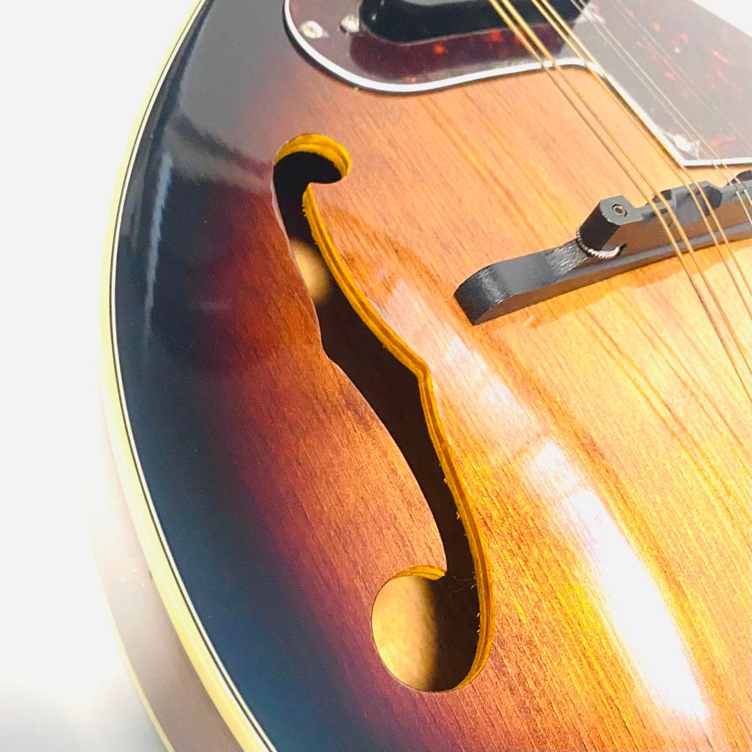 K.Garage VM-6E フラットマンドリン ハードケース付き