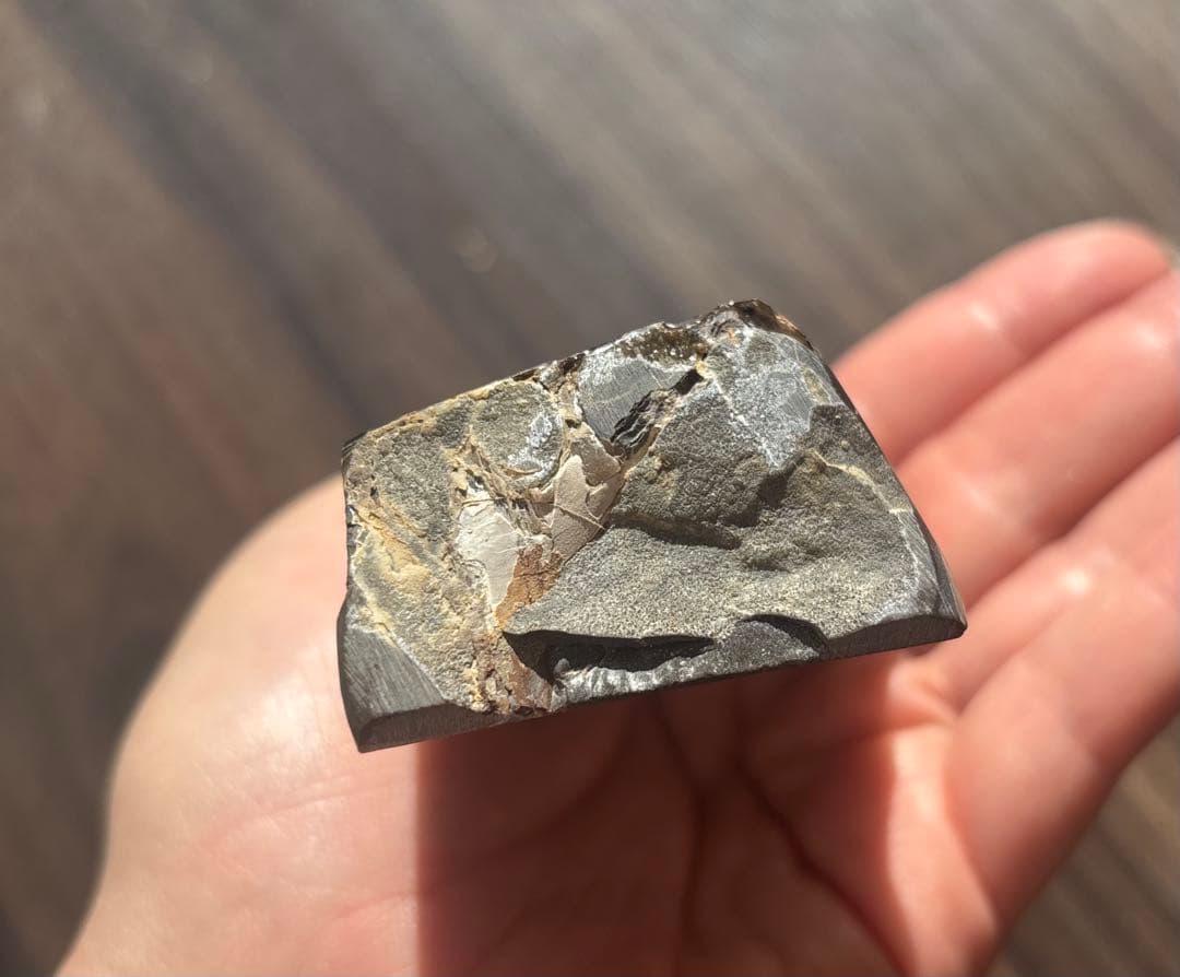 巨大！希少！カナダ産 アンモライト 樹脂スタビライズ加工 天然宝石