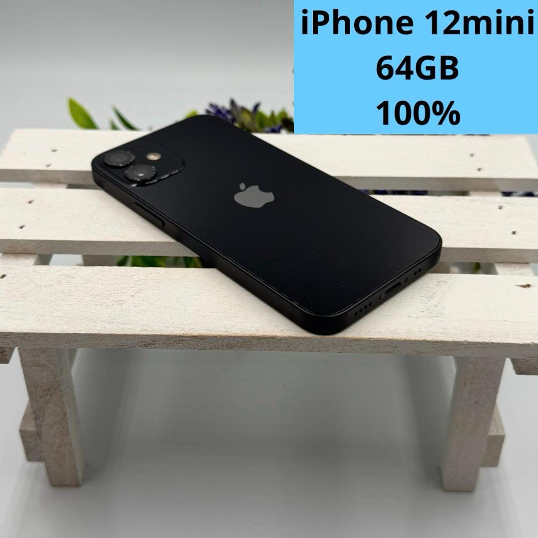 iPhone 12 mini 64GB ブラック 381 - メルカリ