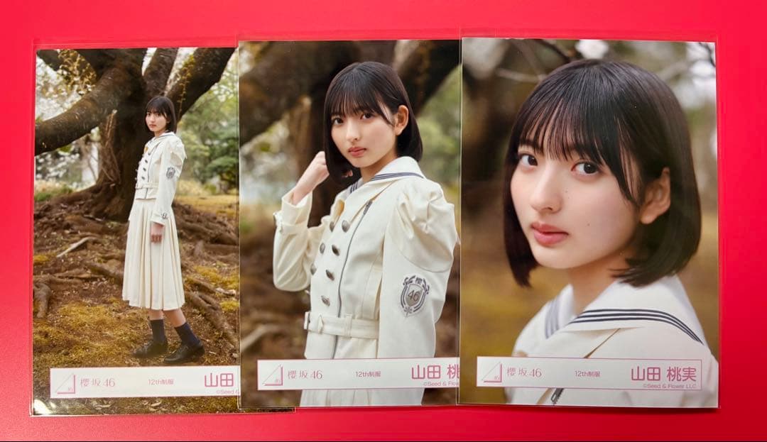 櫻坂46 生写真 山田桃実 コンプ - メルカリ