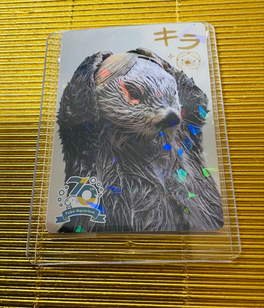 仮面ライダーゼロワン イズ スリーブ 46-JY1027-03C