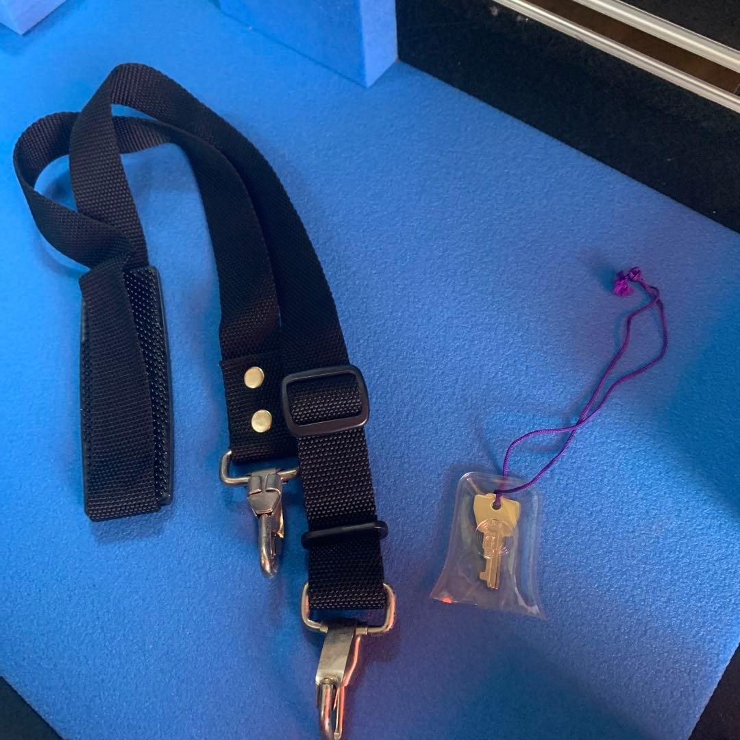 【簡易包装】マンドリン　ケース　のみ