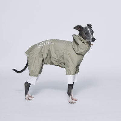 DogWear – STANDING ON THE BLUE スタンディングオンザブルー 大型犬