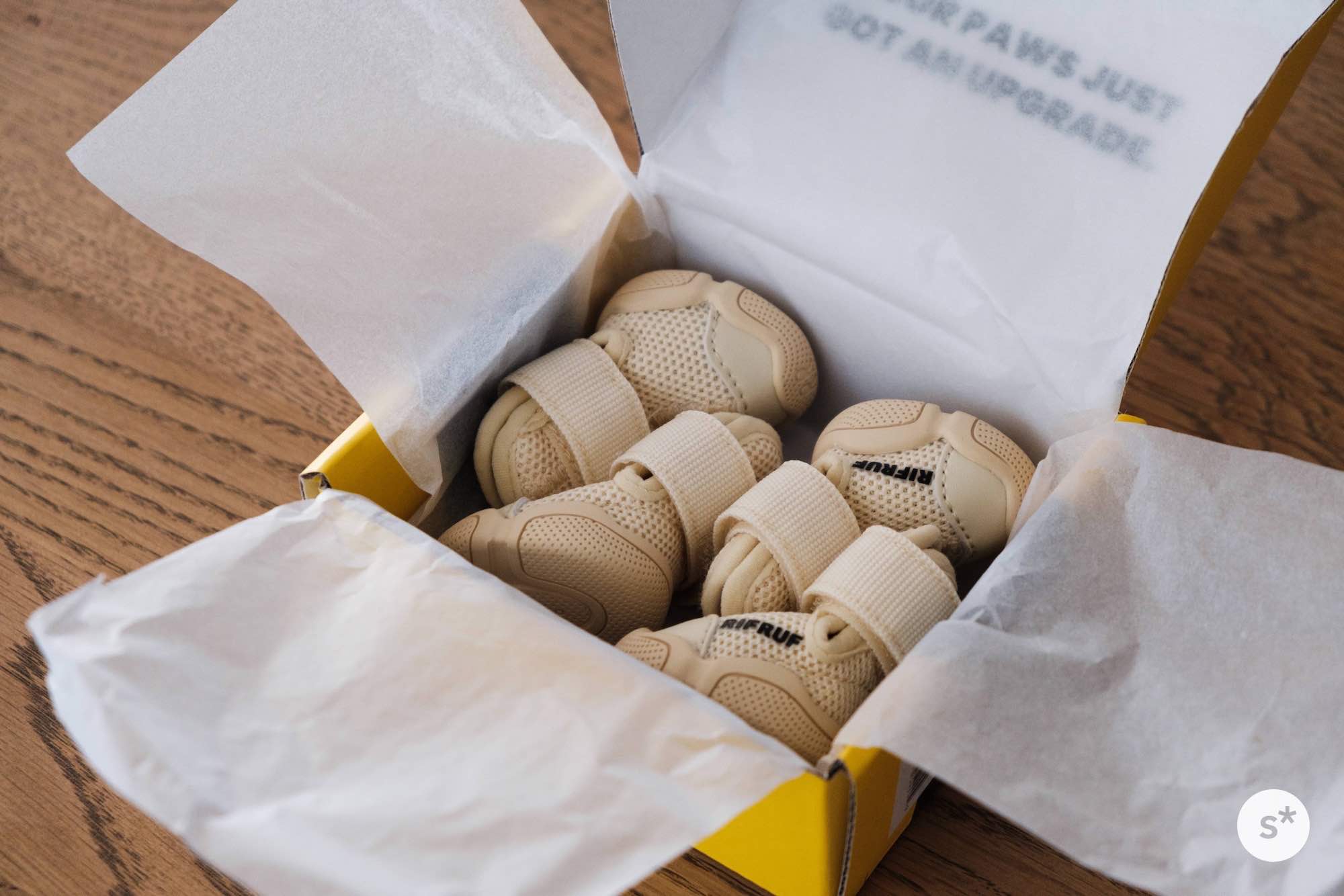 犬に靴が必要？ 高品質な「RIFRUFドッグスニーカー」で足を守ろう