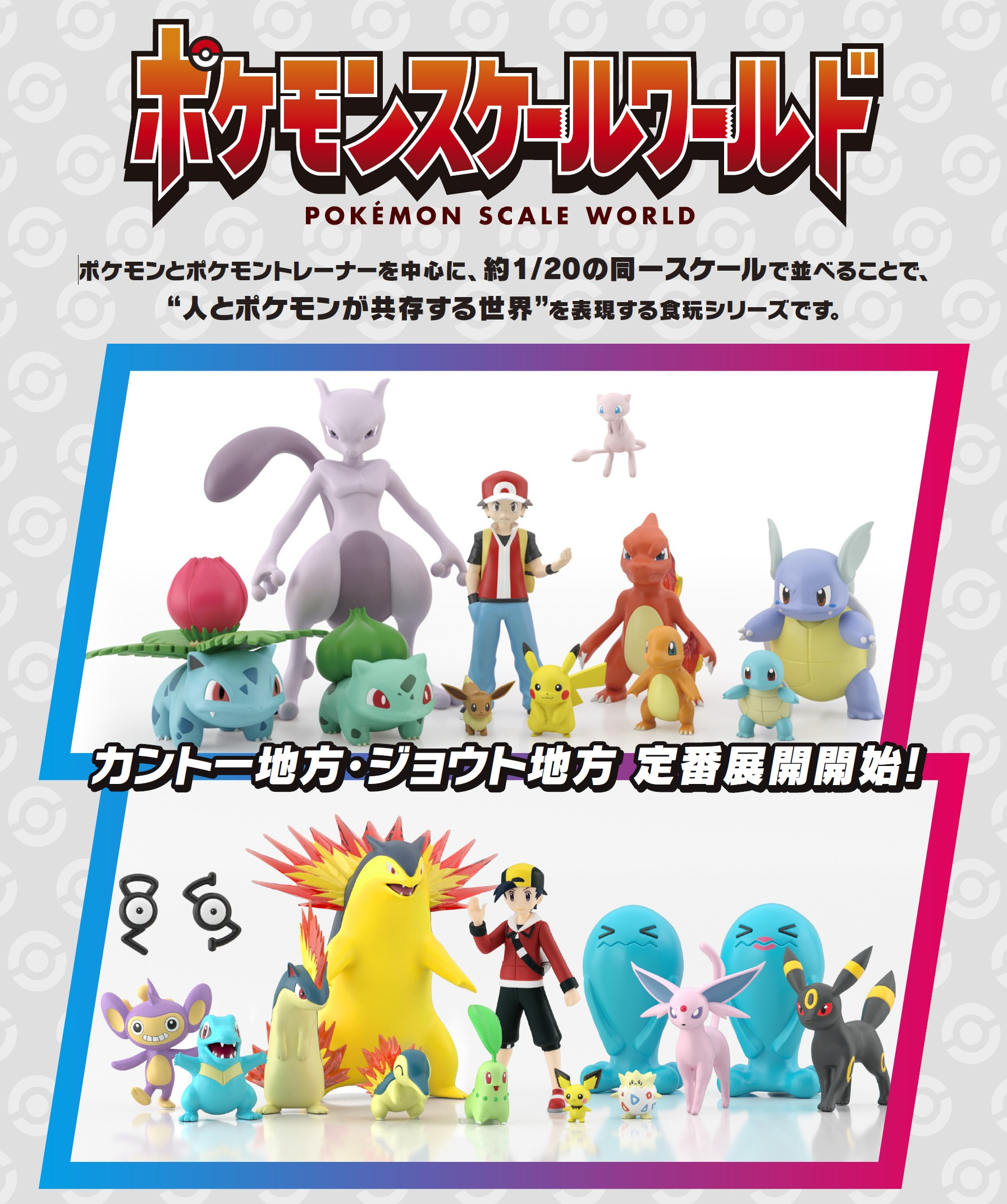 オーダイル ポケモンスケールワールド ジョウト地方 未開封品 注文 未